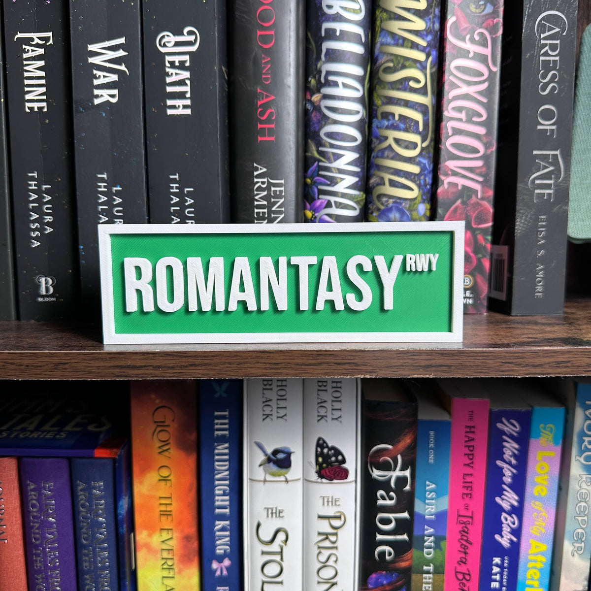 Romantasy Street Sign | Bookshelf Decor