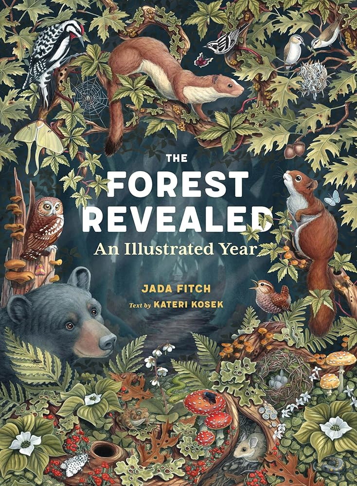 The Forest Revealed: An Illustrated Year cover image
