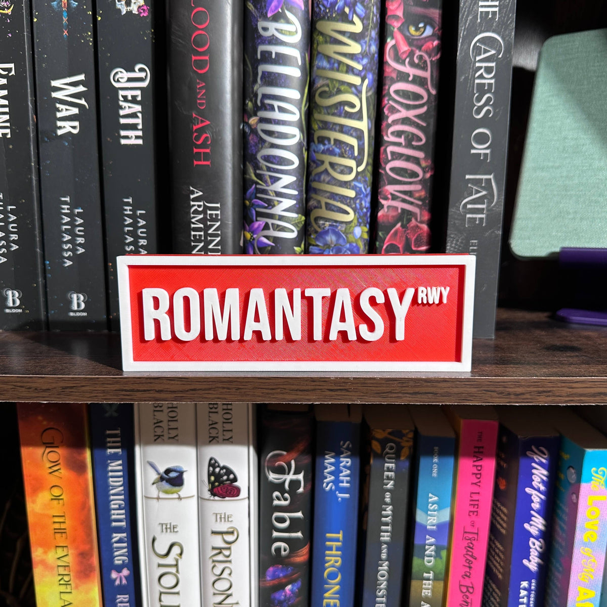 Romantasy Street Sign | Bookshelf Decor