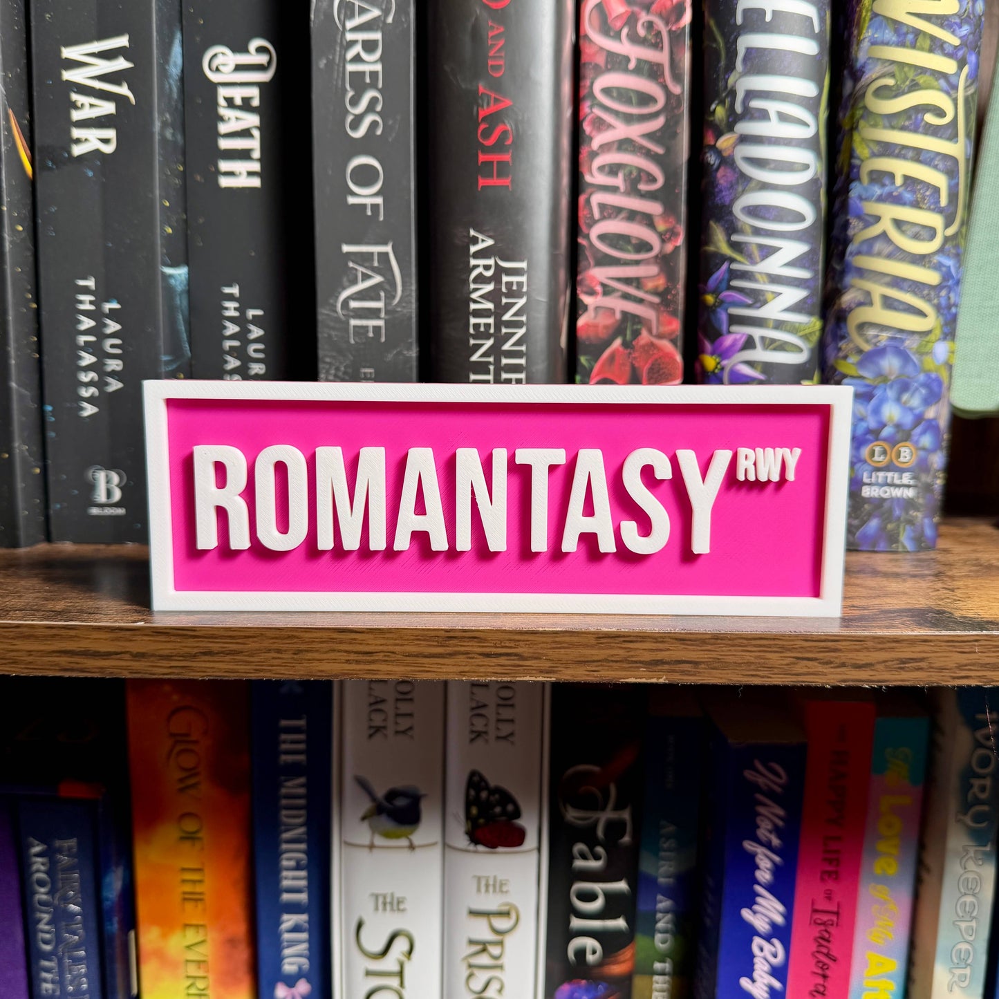 Romantasy Street Sign | Bookshelf Decor