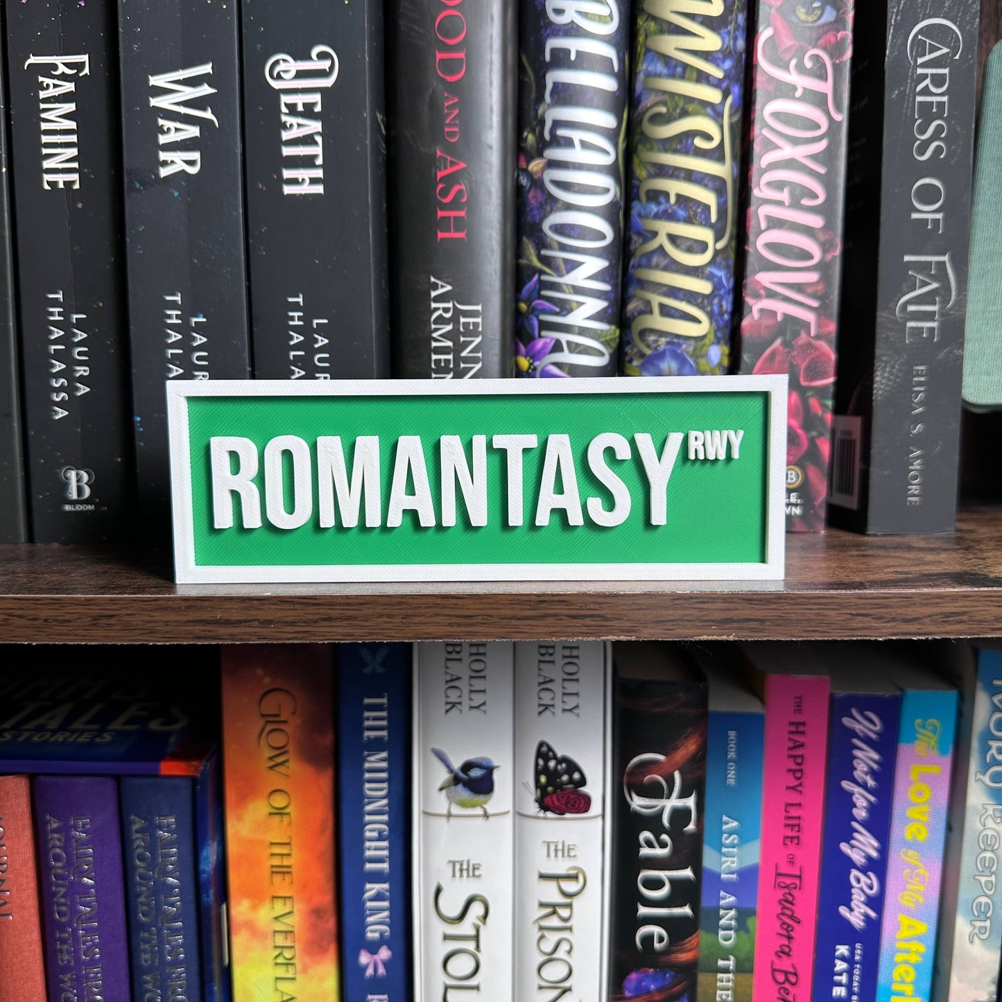 Romantasy Street Sign | Bookshelf Decor