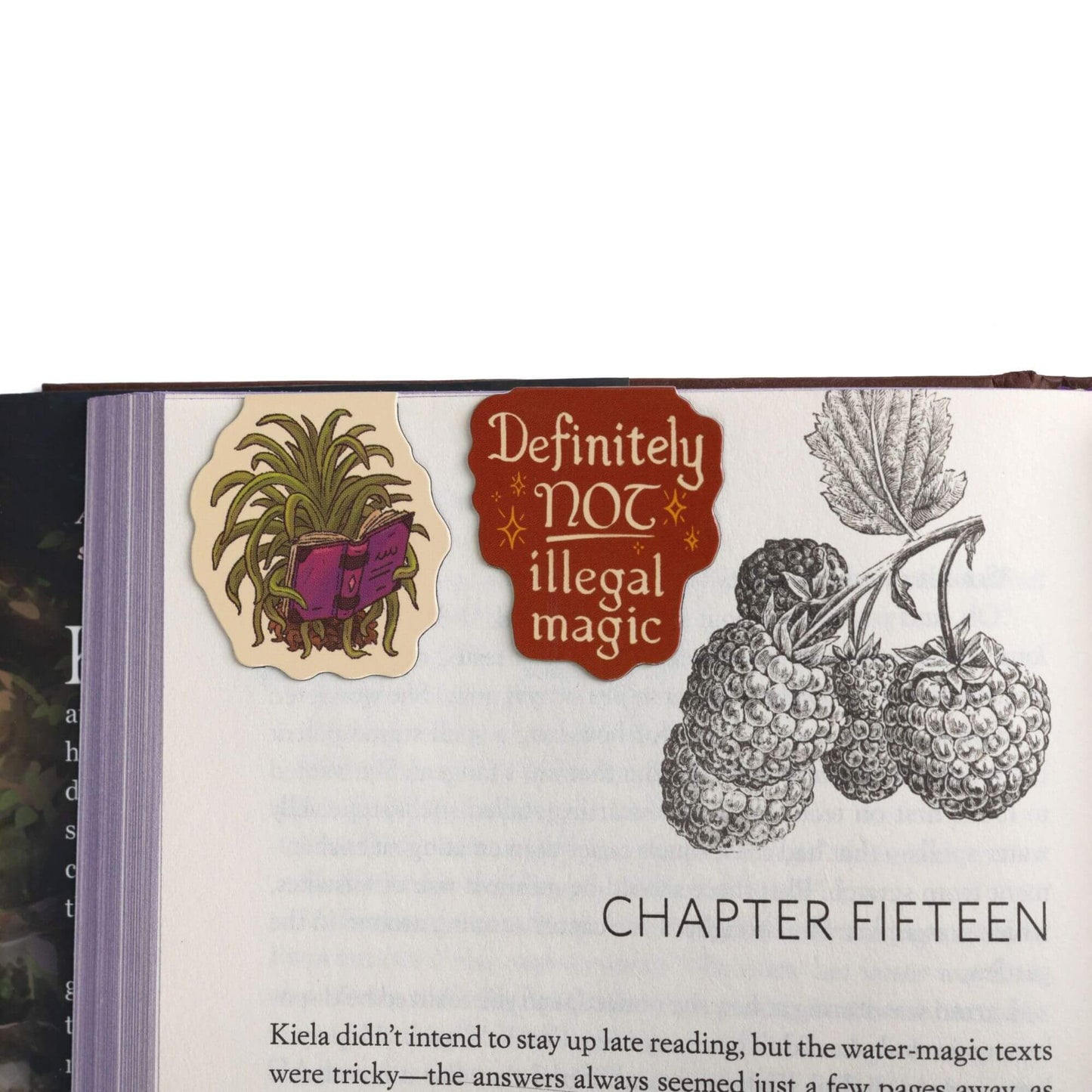 Kingdom of Threads - The Spellshop Gift Set