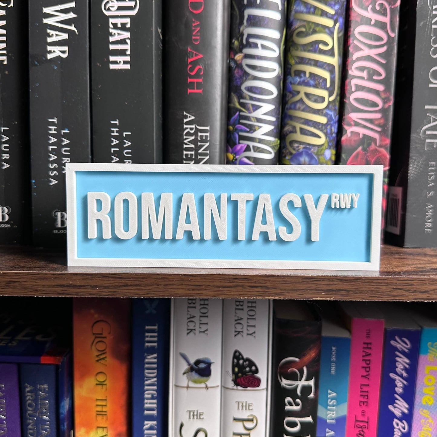 Romantasy Street Sign | Bookshelf Decor